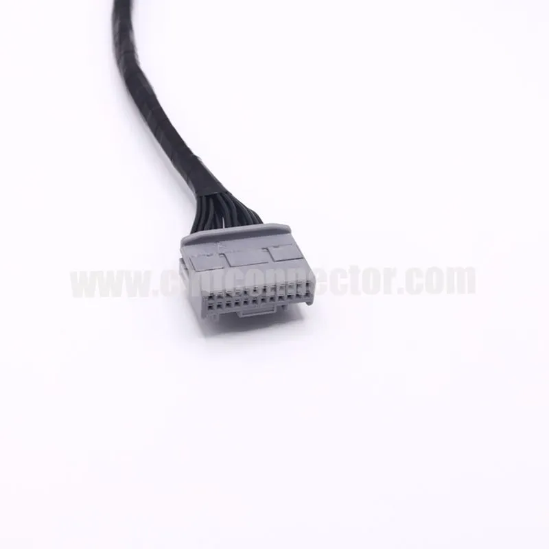 Wire harness with 24P TE auto connector 1612906-1 and PCB connector 1612904-2