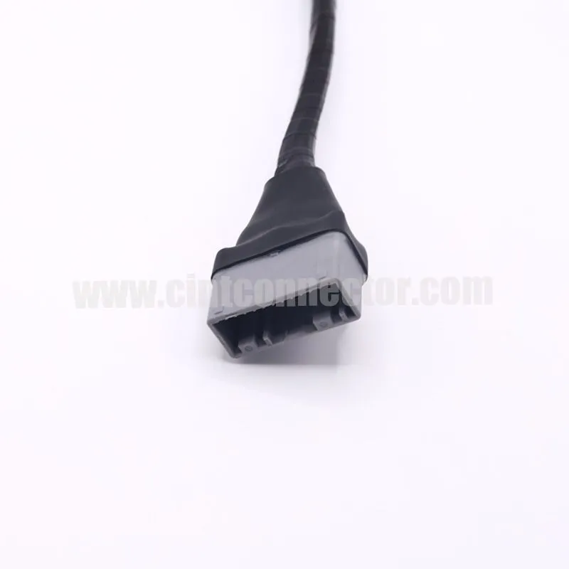 Wire harness with 24P TE auto connector 1612906-1 and PCB connector 1612904-2